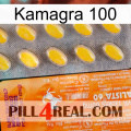 Kamagra 100 new05